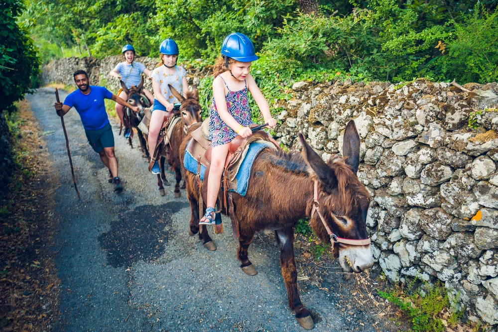  The next day we headed South down the coast to Siracuse. We arrived at the hotel early in the afternoon, had lunch and a swim and then headed to the nearby island of Ortigia for dinner. 