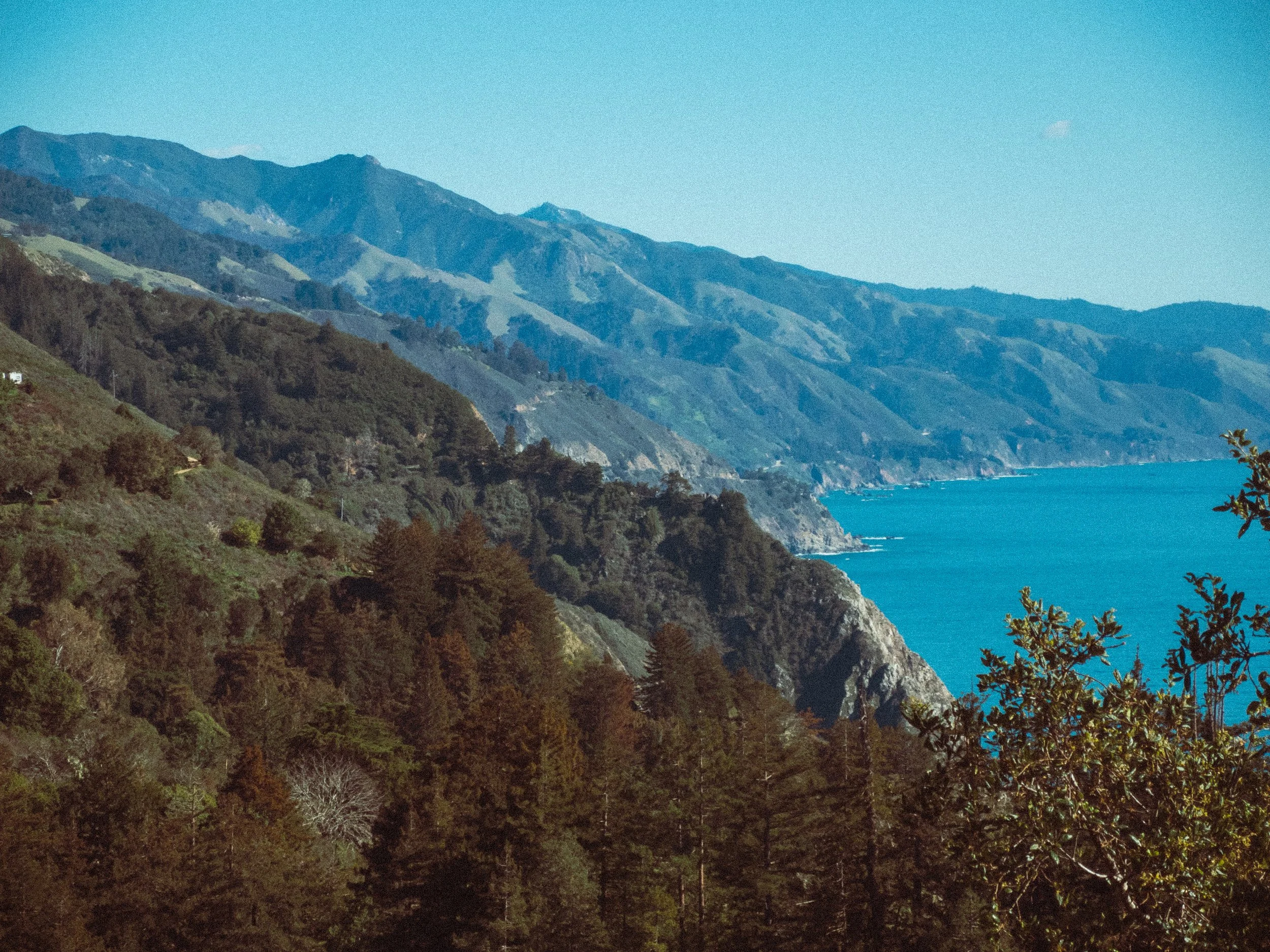 DSCN2785.jpg