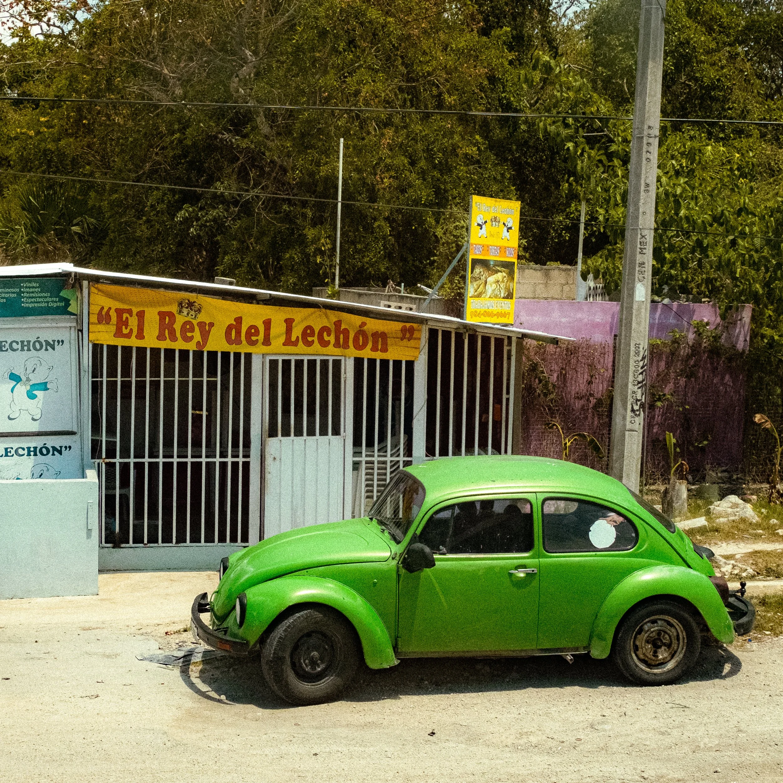 BRRI7241.jpg