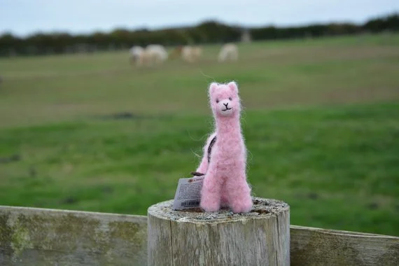 FeltedAlpaca_Pink.jpg