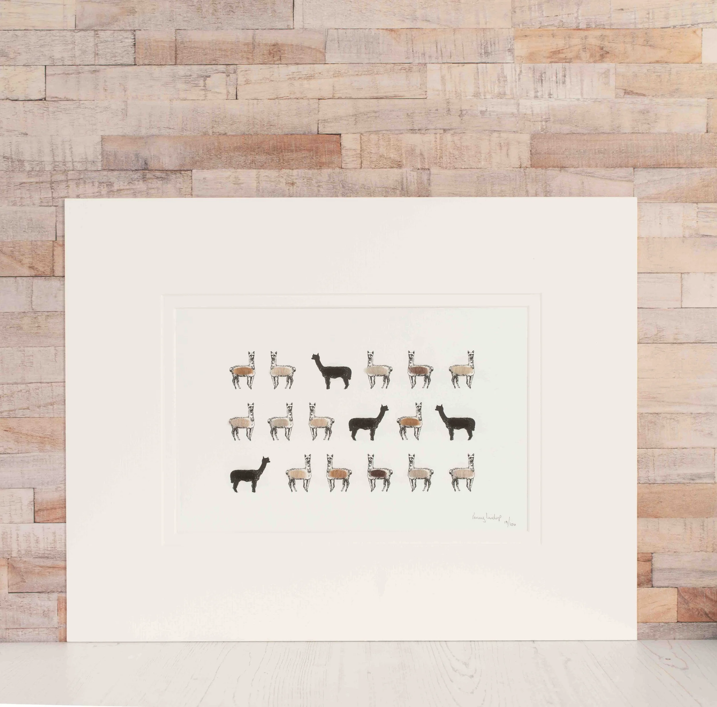 LE - Lots of Alpacas.jpg