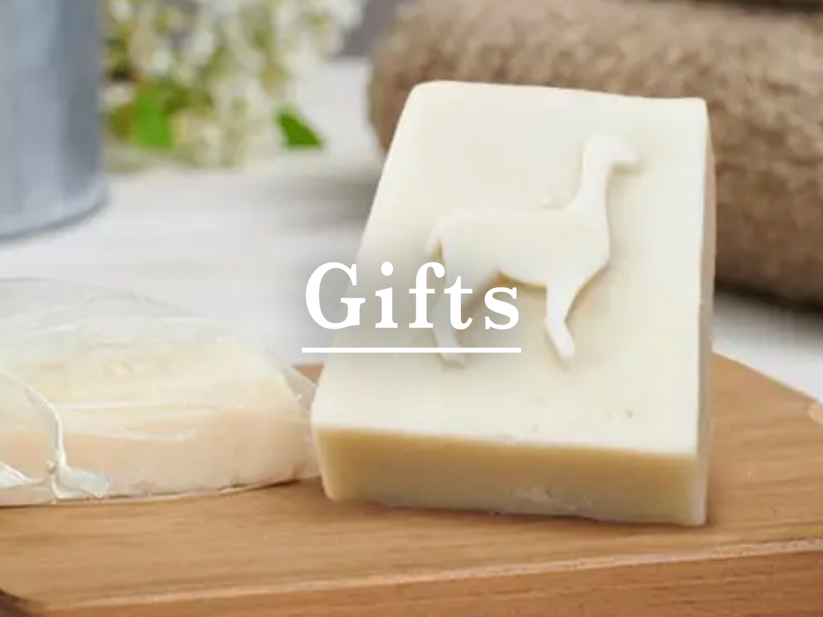 HomeCat-Gifts.png