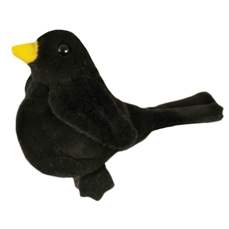 image.jpeg