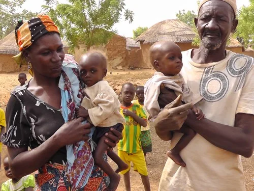 Teddies - A Big Hit In Ghana