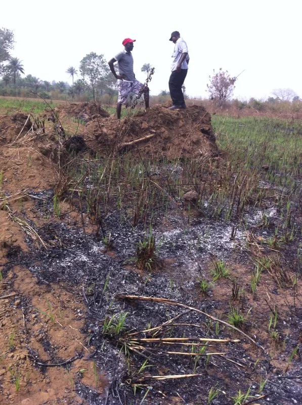 First stages of the new home in Sierra Leone