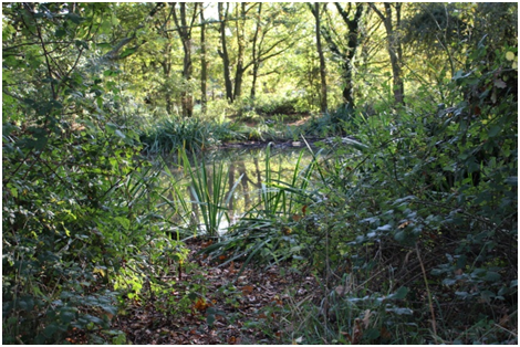 Autumn Photography Exhibition 