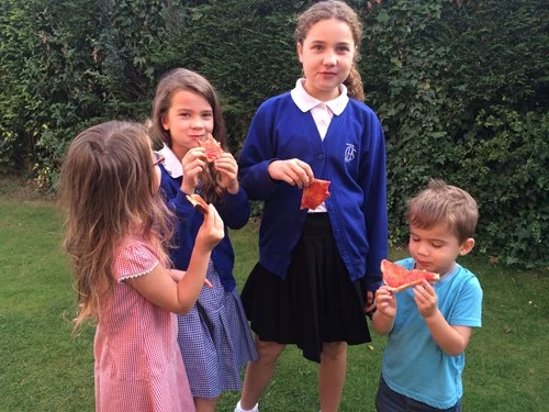 Foraging for Fundraising - Jam with a Plan!