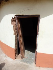 termite-door.jpg