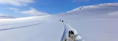 Husky Challenge
