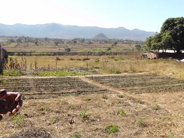 Amatelaz Garden Club report 2nd term 2016 