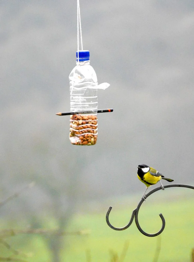 Rubbish Science Plastic Bottle Bird Feeder Project
