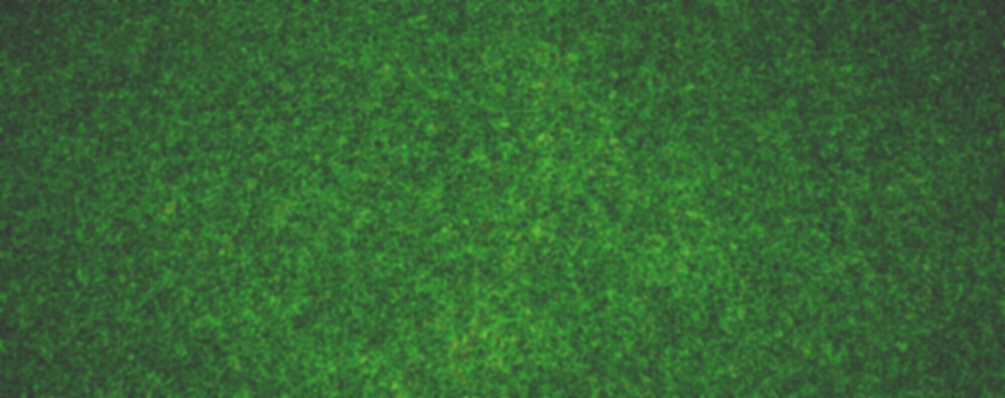 WNWN%2BGrass%2BHeader.jpg