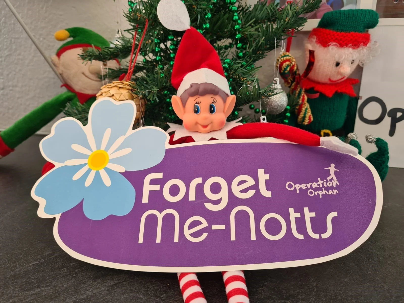 Forget Me Not, St. Nick! 