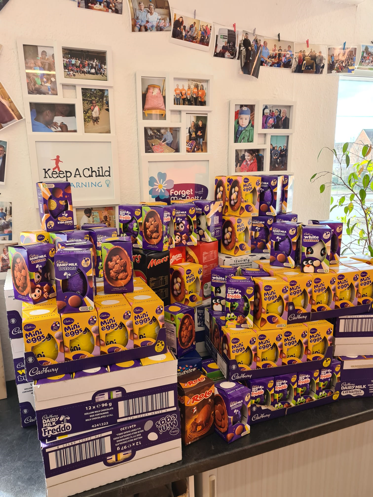 enva's donated eggs.png