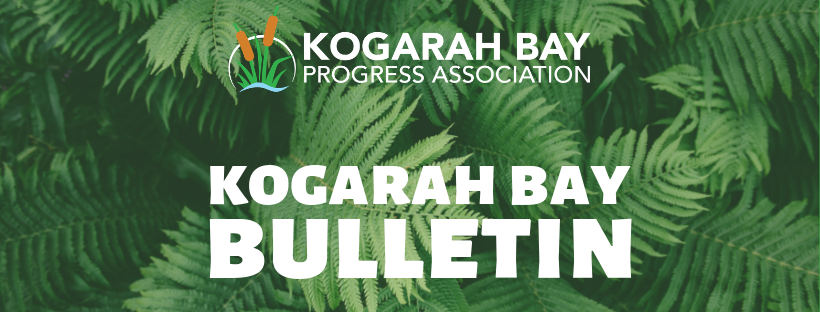 KBPA Cover ImageFern.png