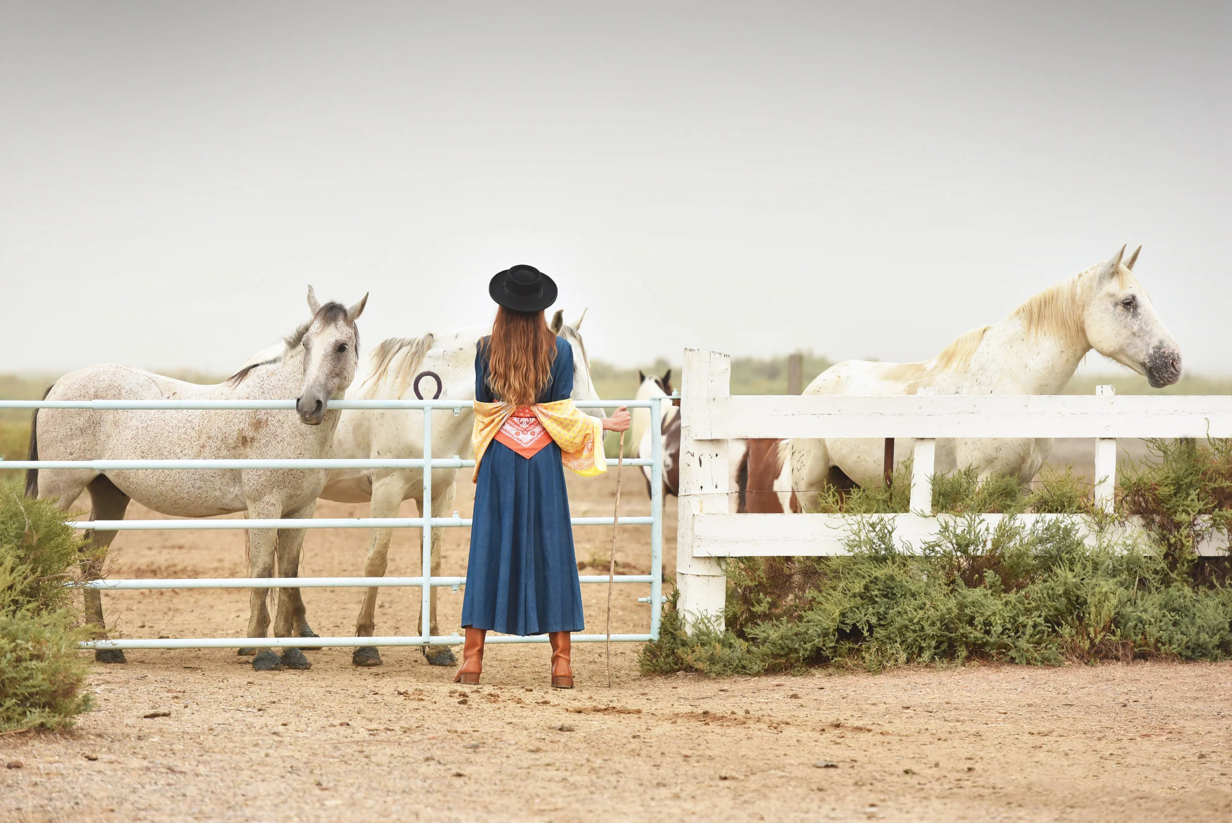 Camargue_03.jpg