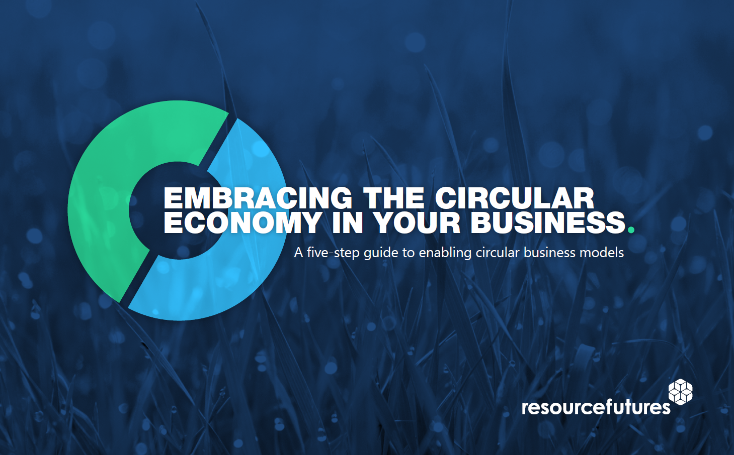 Futures In Circular Economy _ Circular Economy Futures 2050 – SYPE