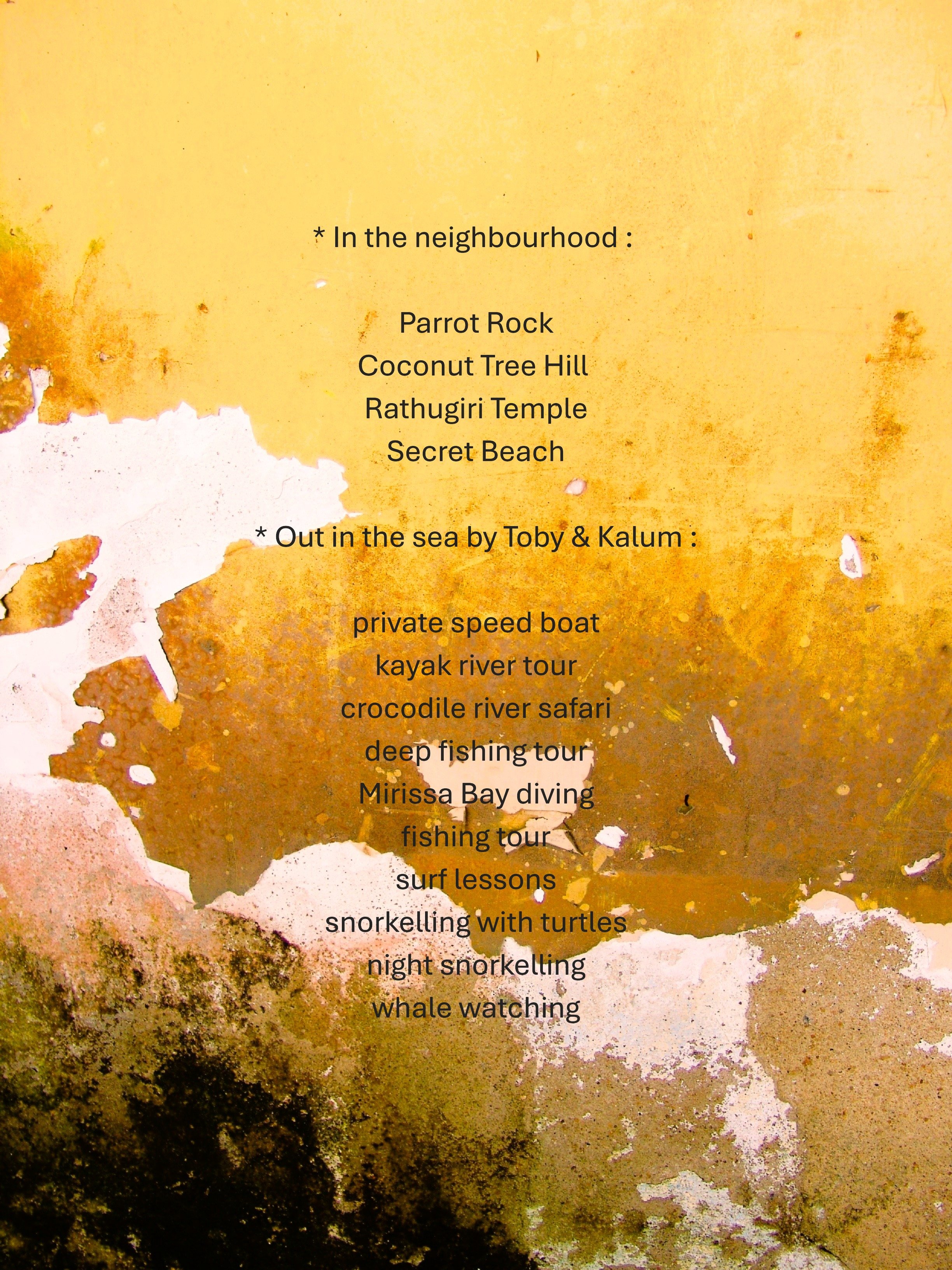 2 + activities H.JPG