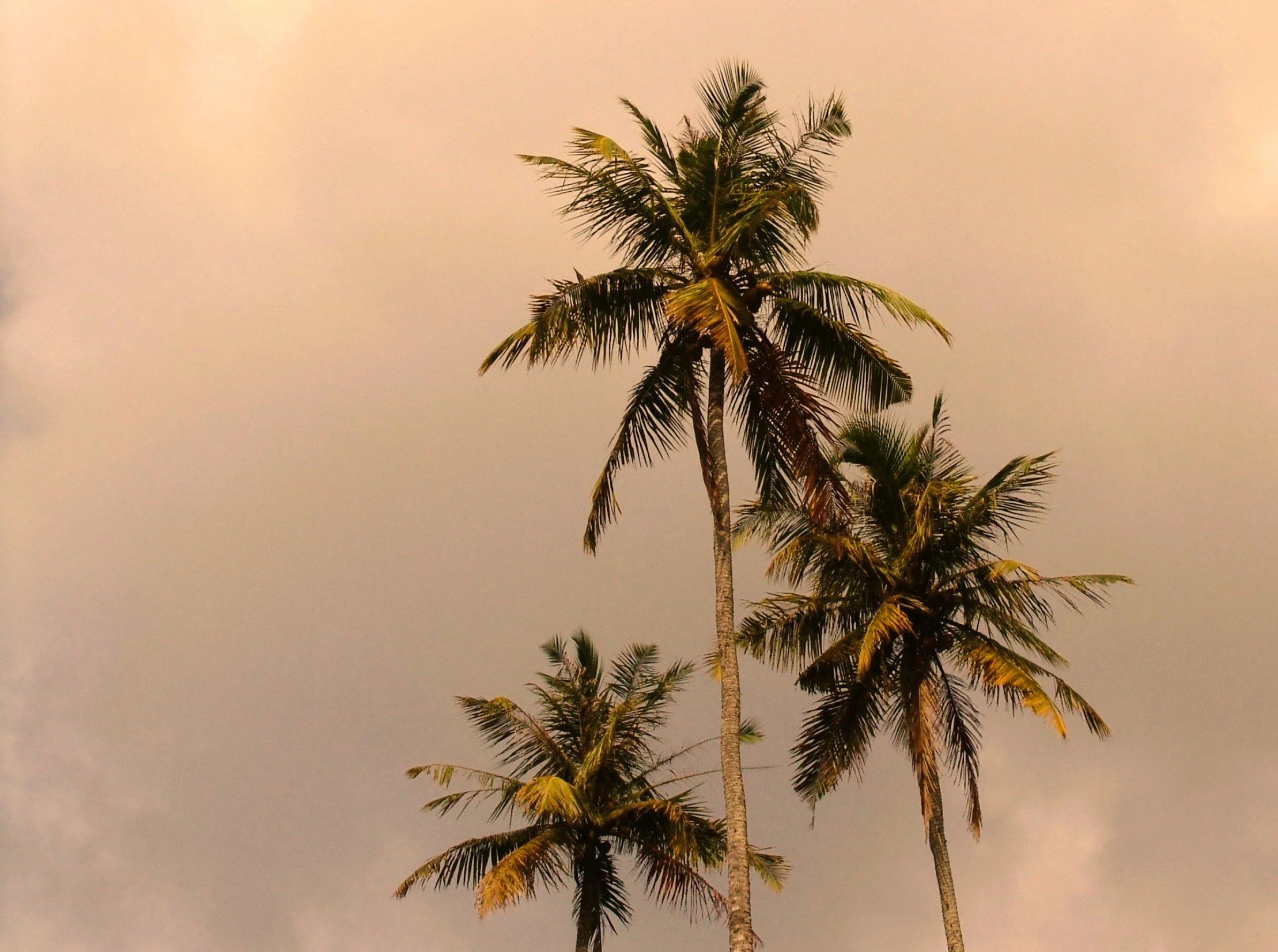 1 _warm _segment horizontal.JPG