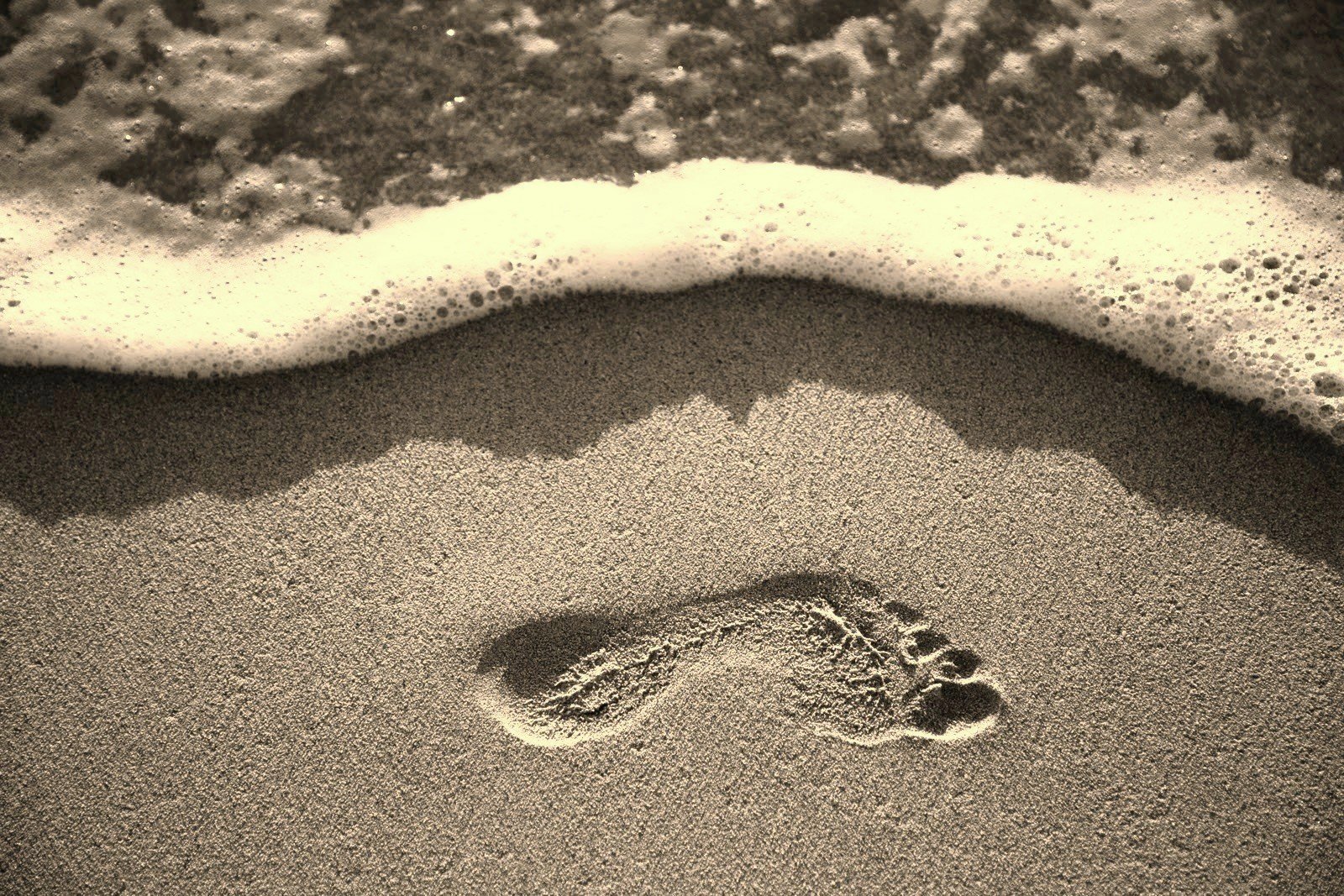 footprint _bw.jpg