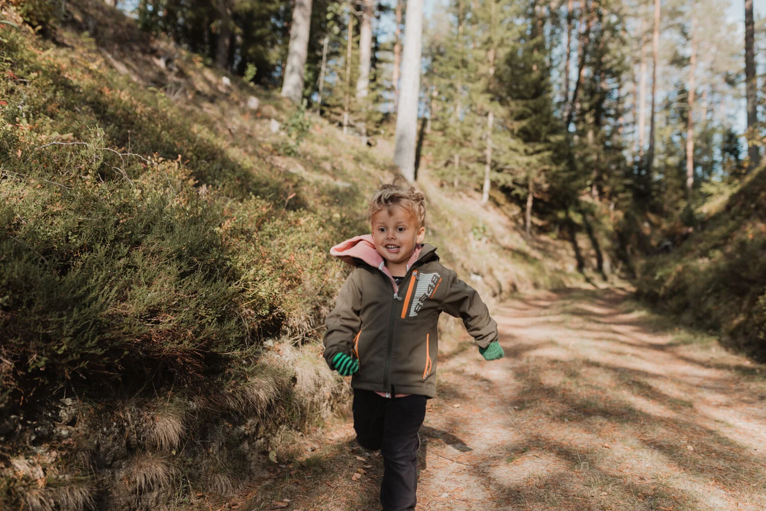 lupinfoto-blogg-fotograf-umea22092019-D86A7702.jpg