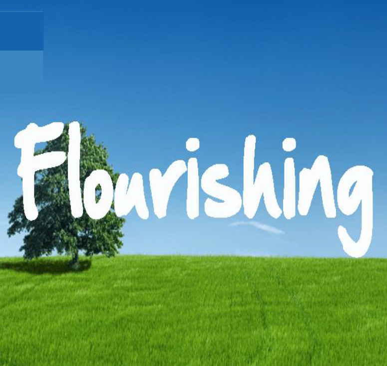 The Flourishing Life