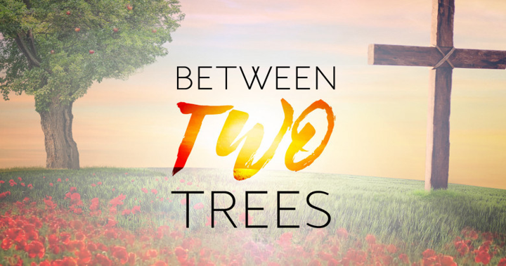 Between Two Trees