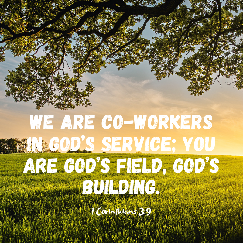 What Are You Building?
