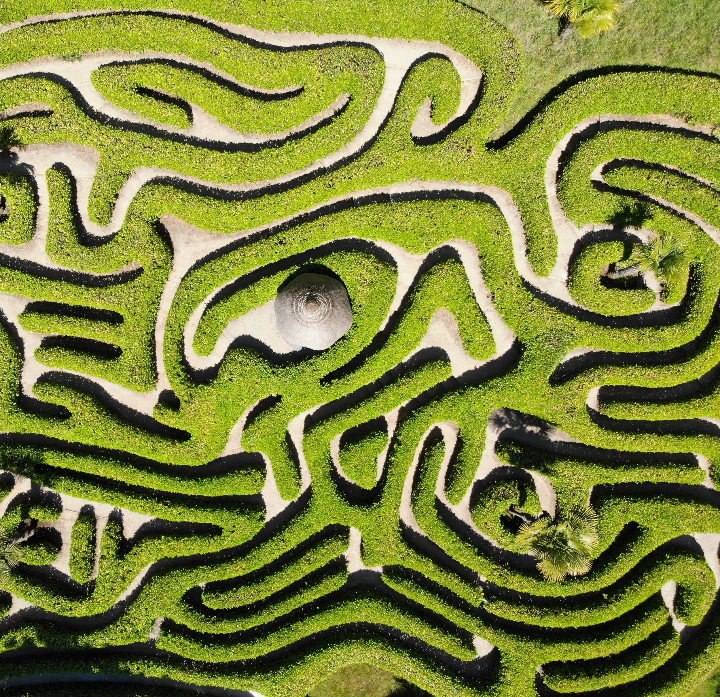 Navigating our Moral Maze