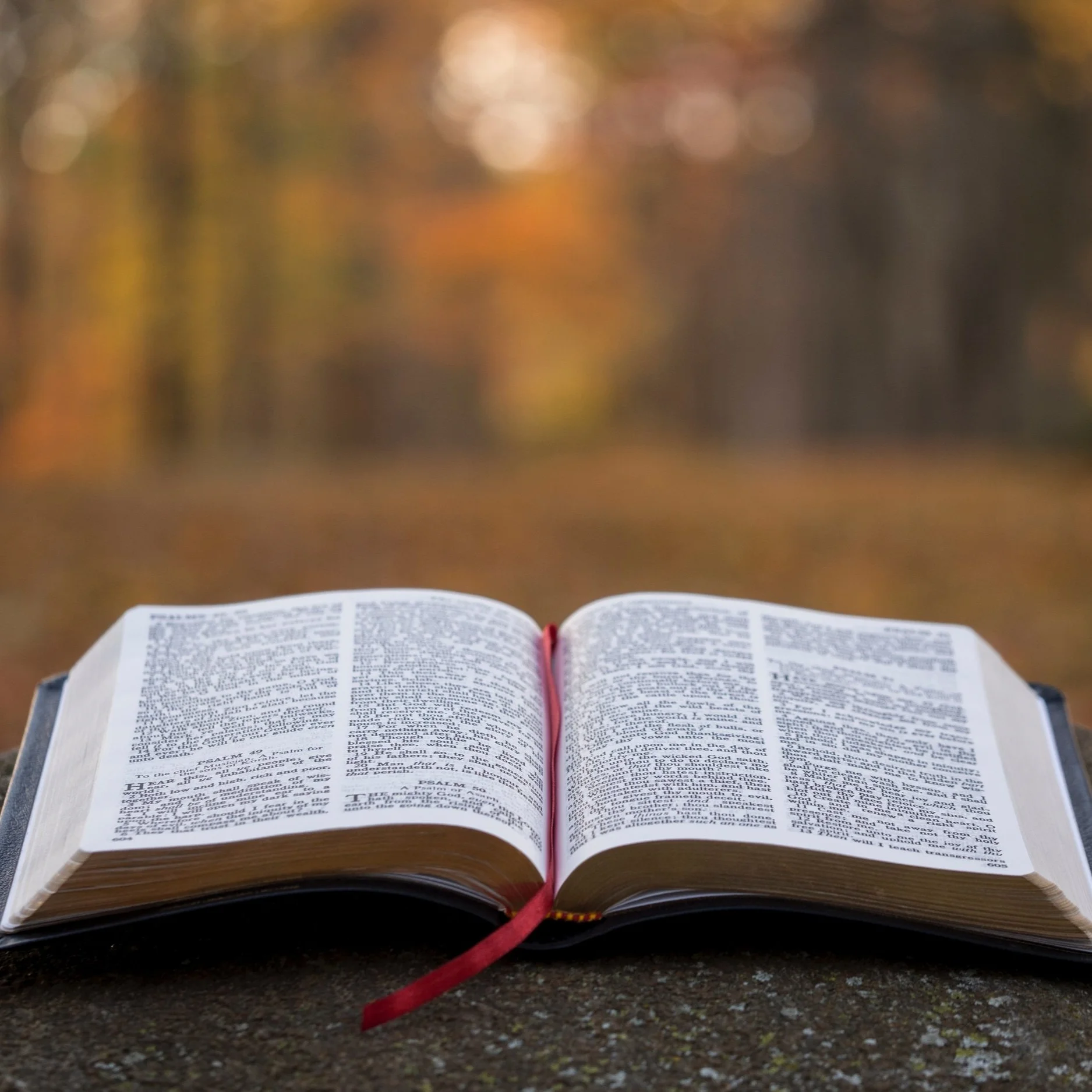 Nourishing Your Soul Through Sacred Reading