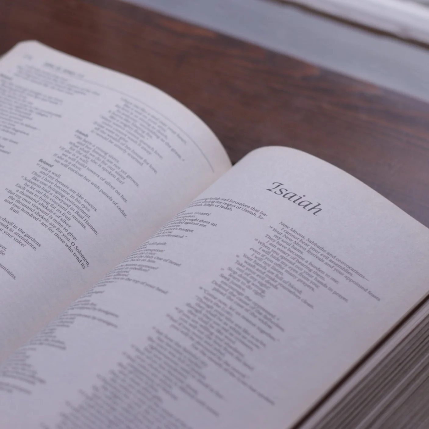 Understanding the Prophets