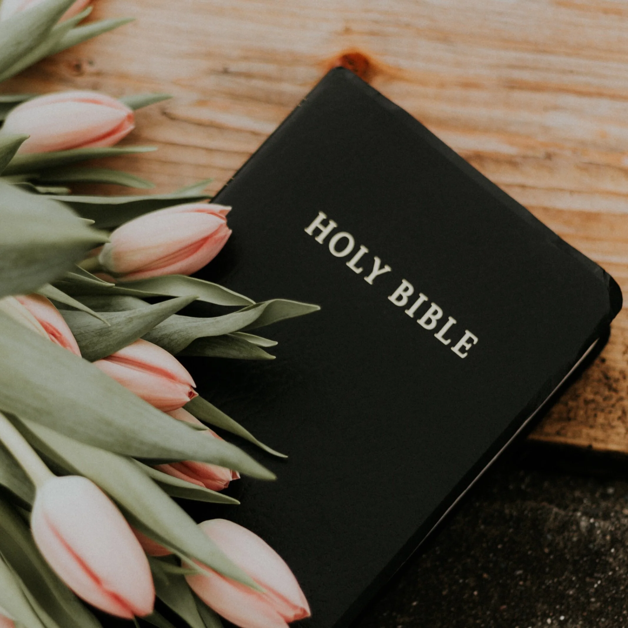 Where do I find Spiritual Food?