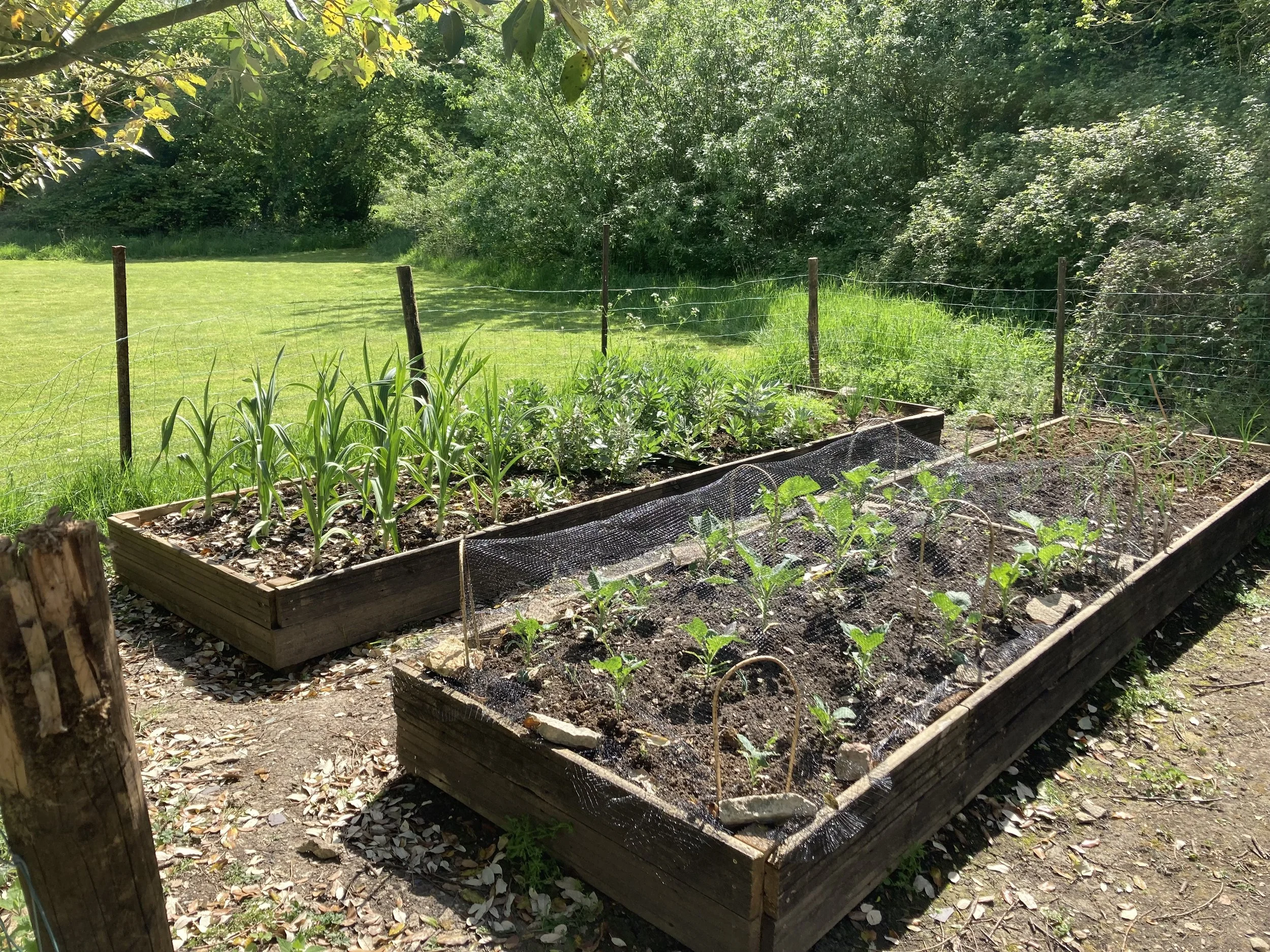Cogges Community Garden