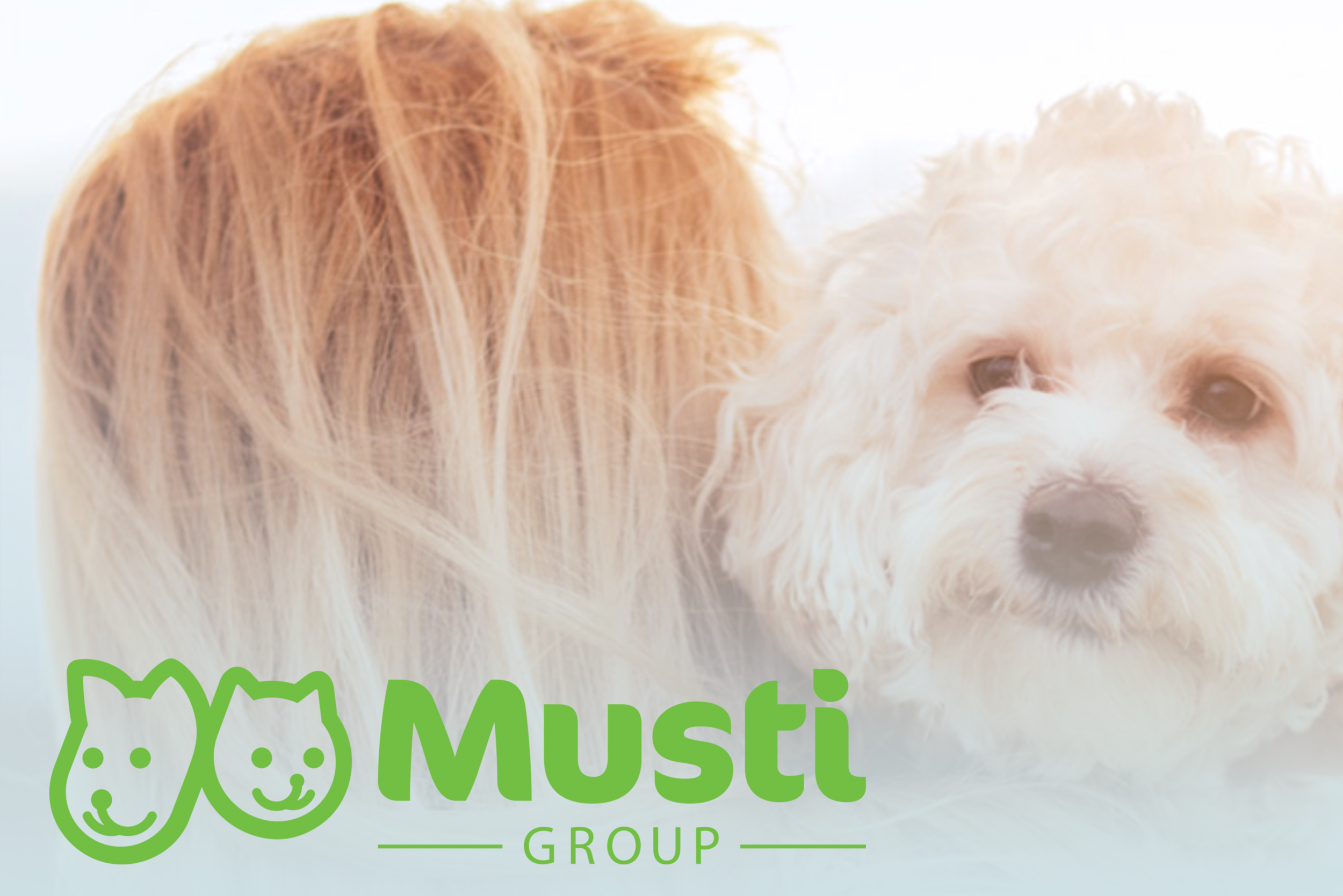 case study Musti group.png