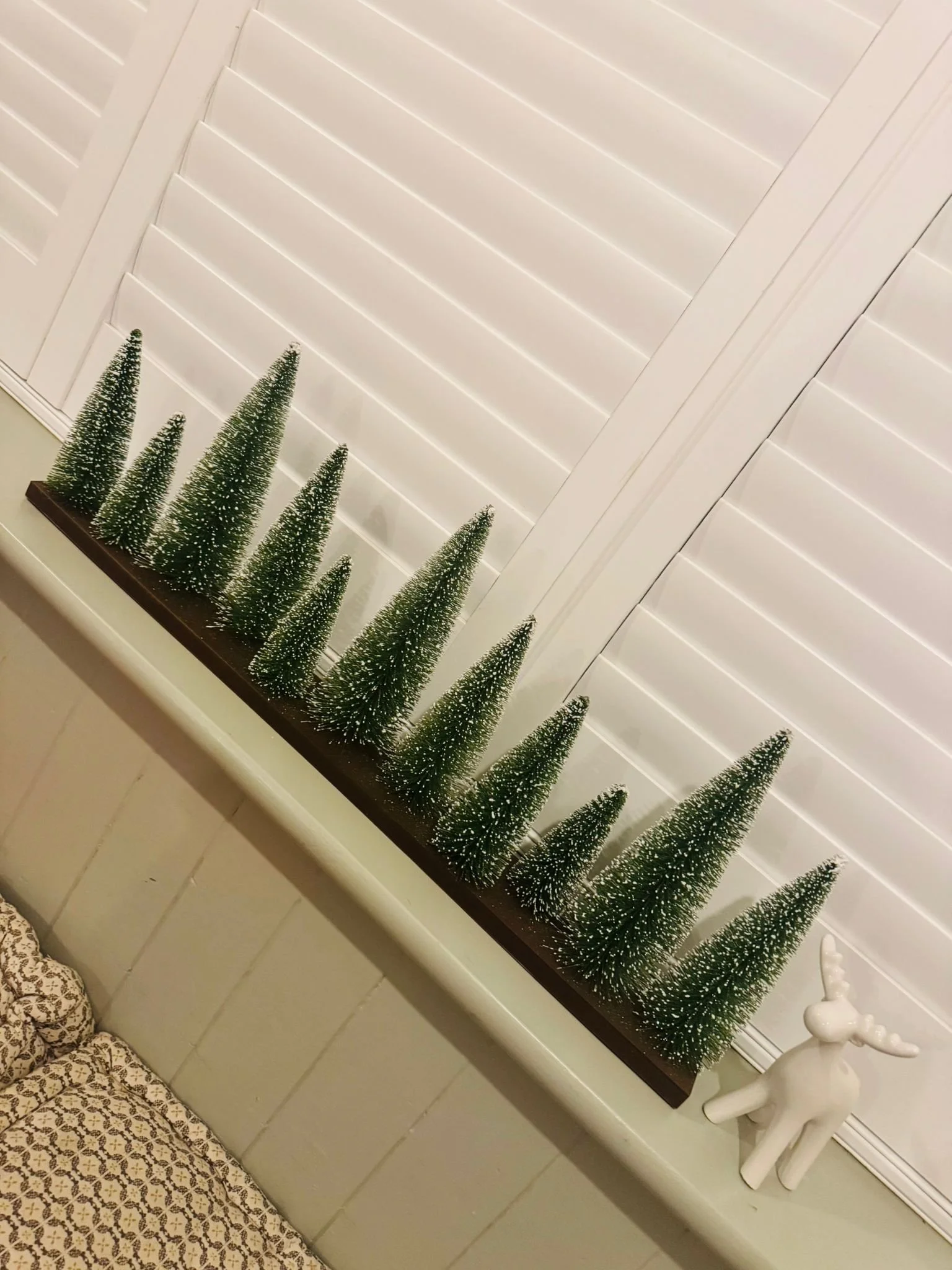 WhatsApp Image 2025-11-07 at 15.02.31 (2).jpeg