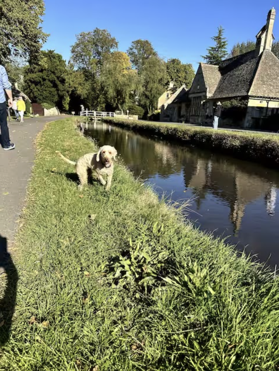 Screenshot 2026-01-05 at 5.19.08 PM.png