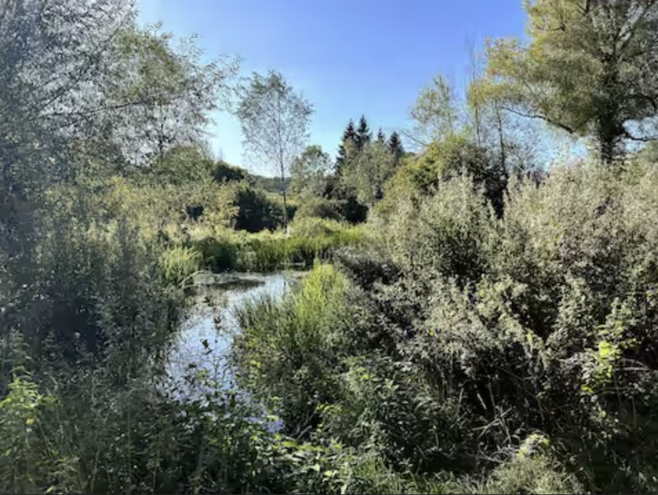 Screenshot 2026-01-05 at 5.18.27 PM.png