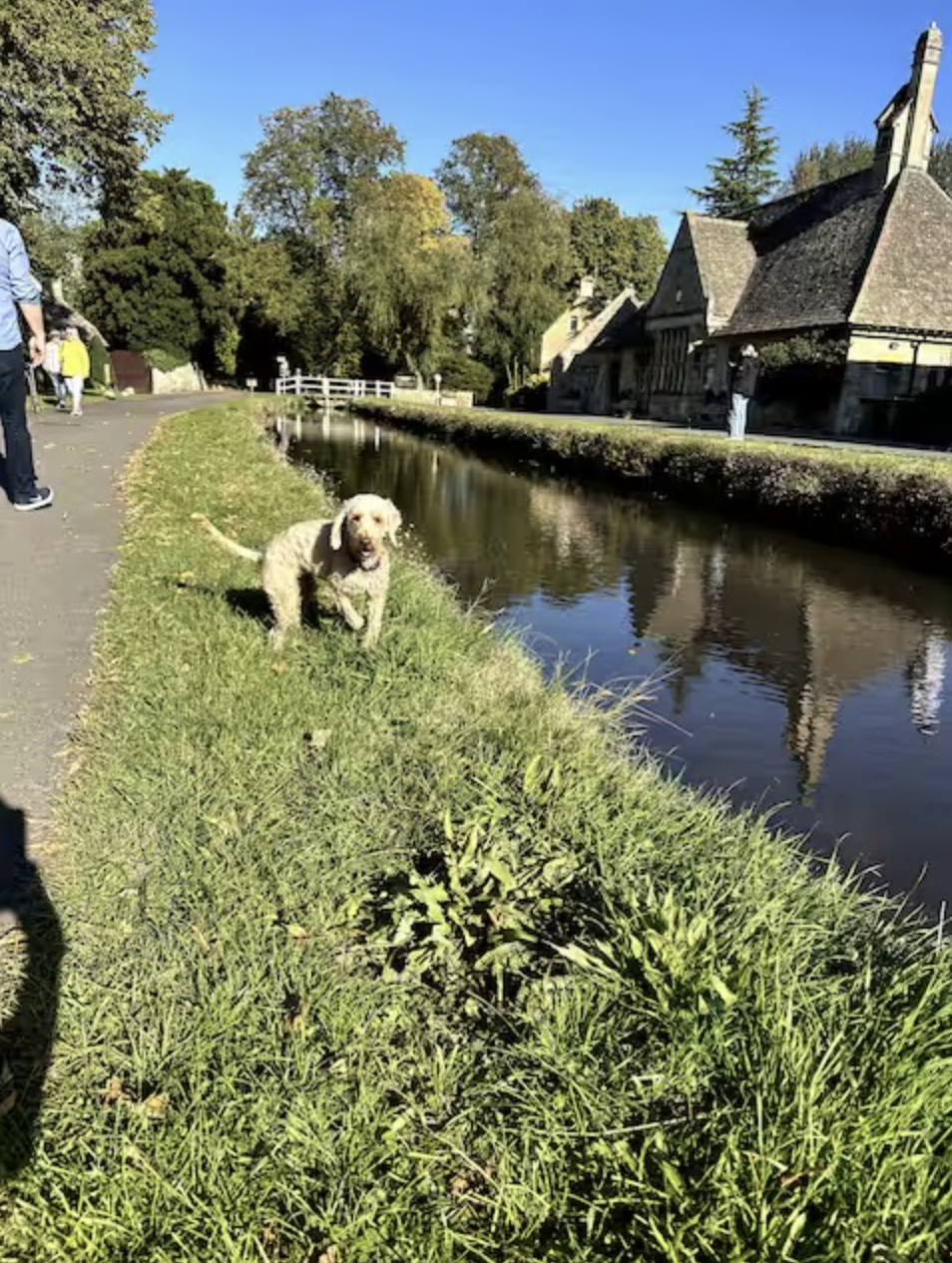 Screenshot 2026-01-05 at 7.29.40 PM.png