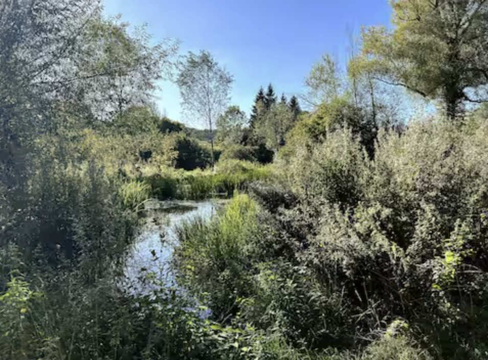 Screenshot 2026-01-05 at 7.29.30 PM.png