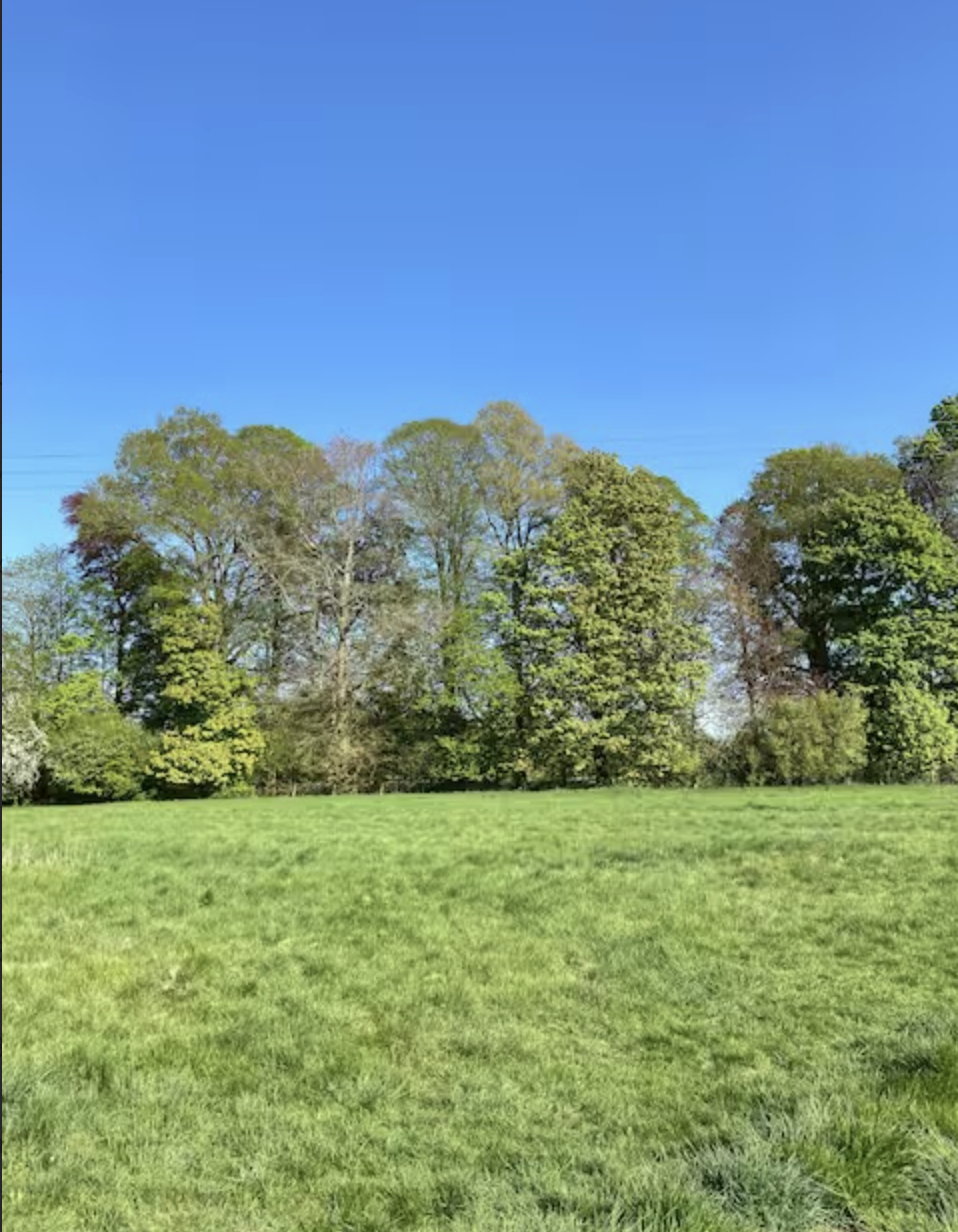 Screenshot 2026-01-05 at 7.50.34 PM.png