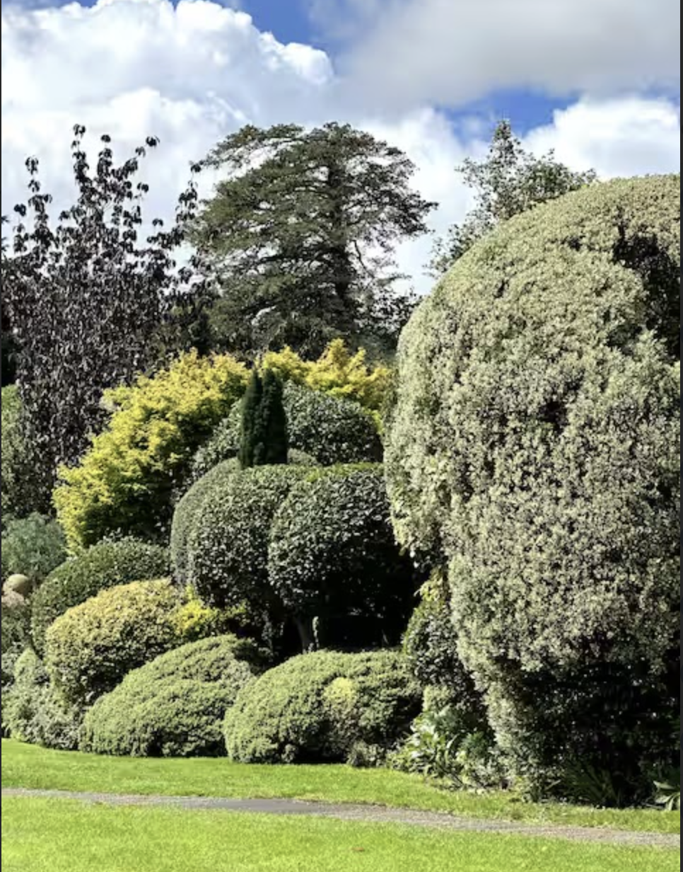 Screenshot 2026-01-05 at 7.50.24 PM.png