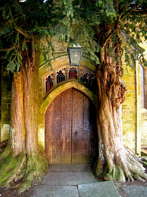 The famous north door of St Edwards Church in Stow-on-the-Wold, featuring a historic arched wooden door tightly framed and flanked by two ancient, large yew trees