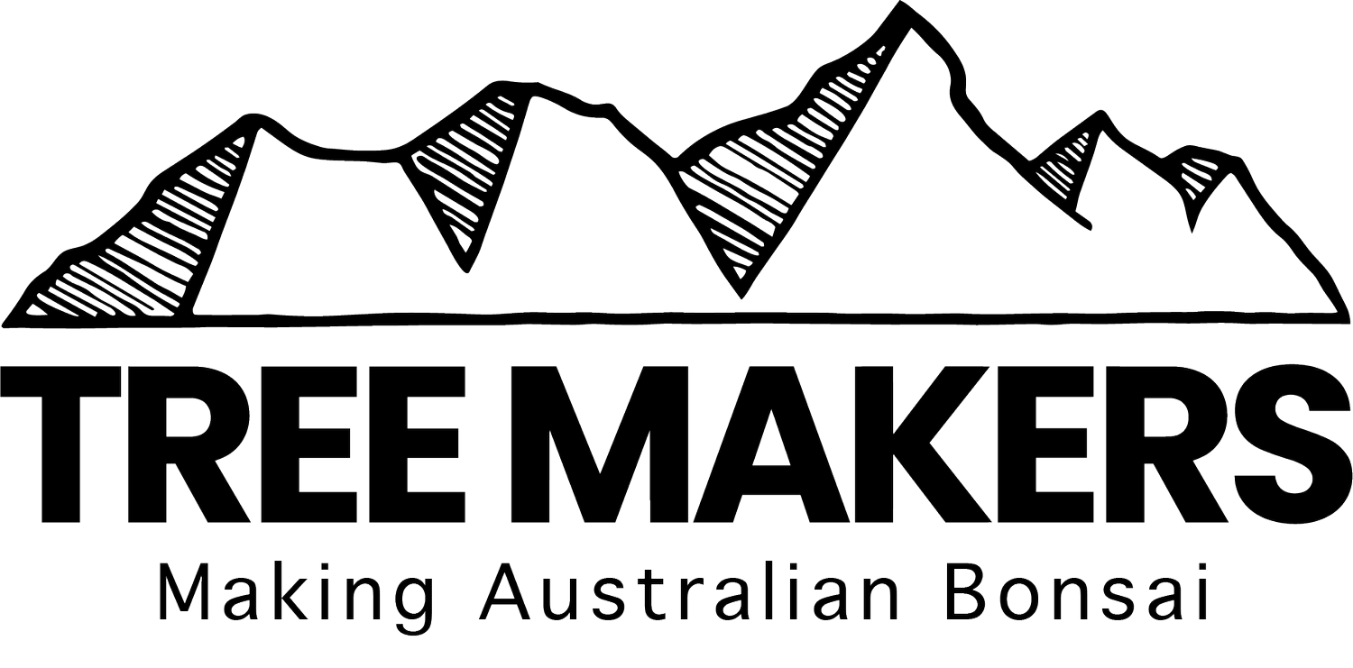 Tree Makers Bonsai Studio