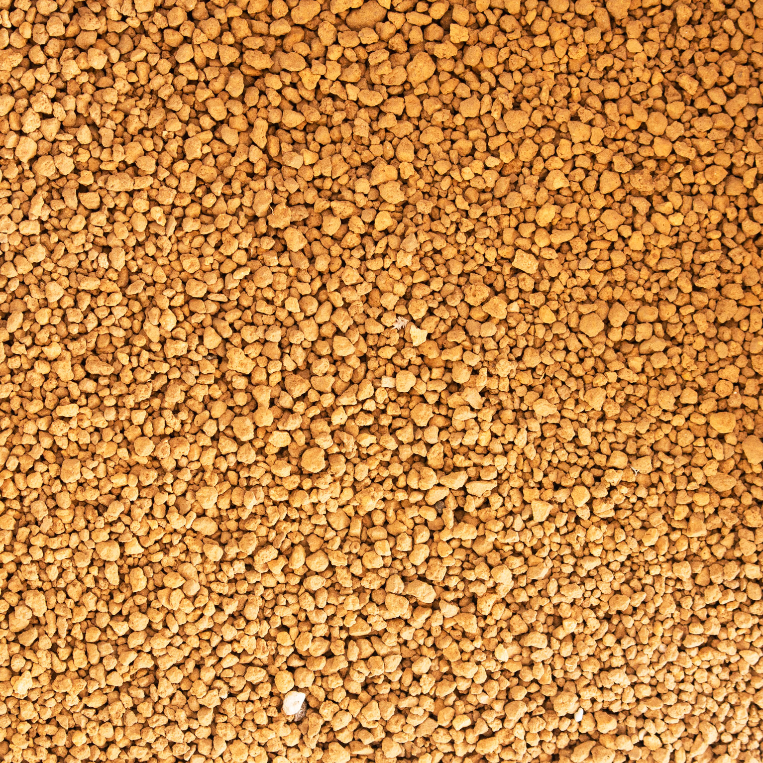 akadamaparticle_web.jpg
