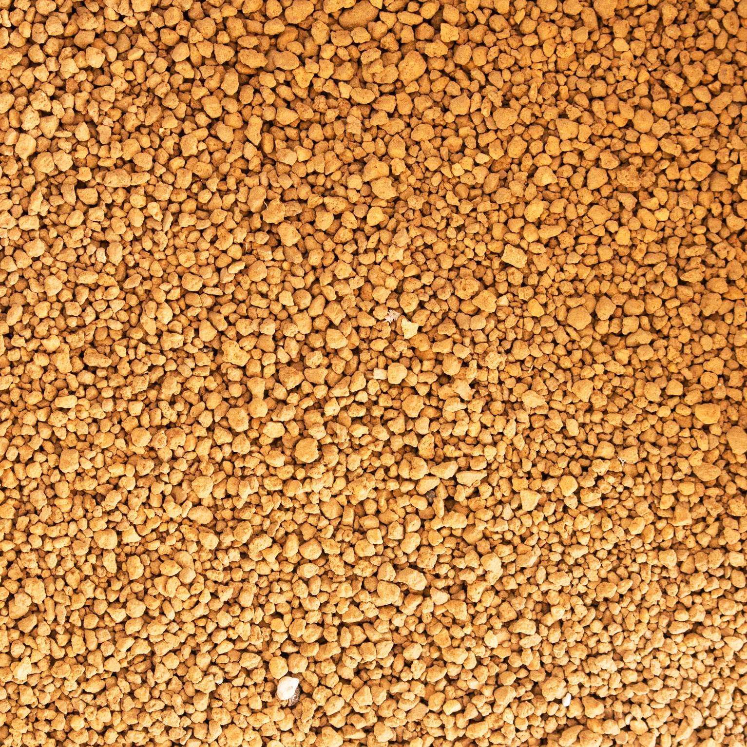 akadamaparticle_web.jpg