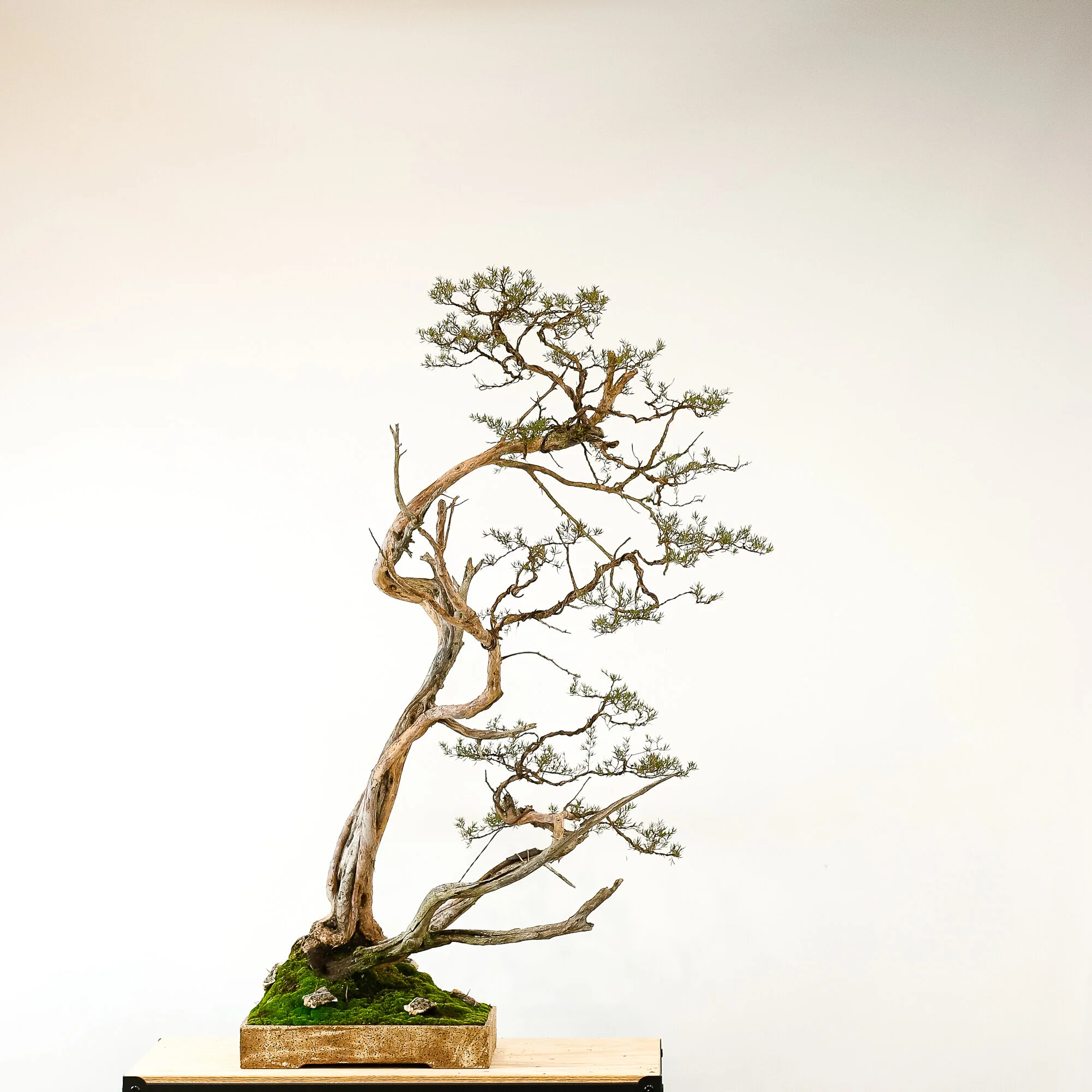 tools-April 07, 2021.jpg