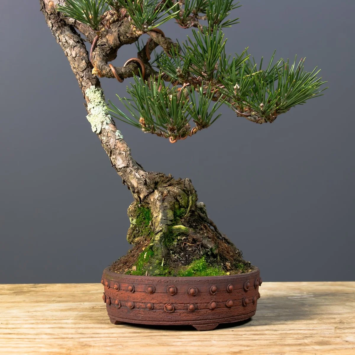 Online Store — Tree Makers Design