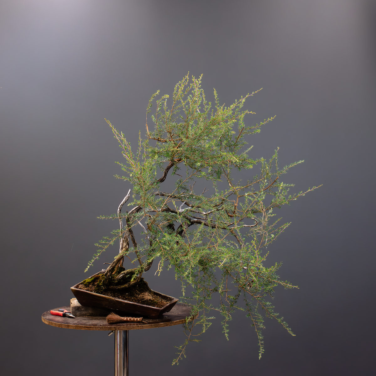 Before styling (Copy) (Copy)