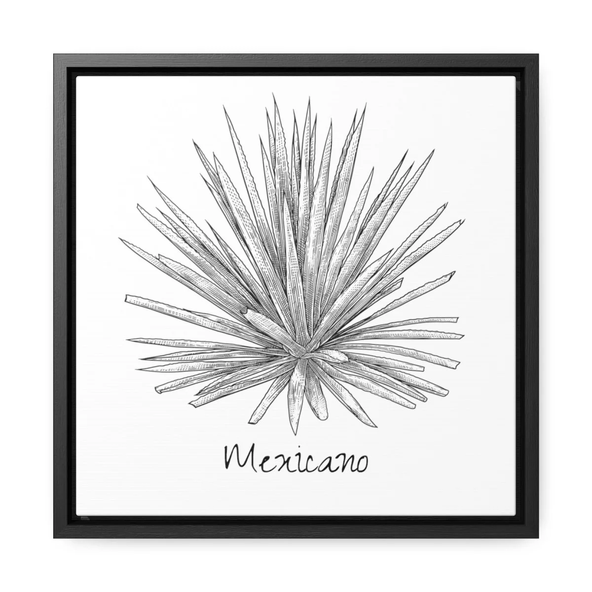 e05f247a9bbee8f35fda56a11613ea7a