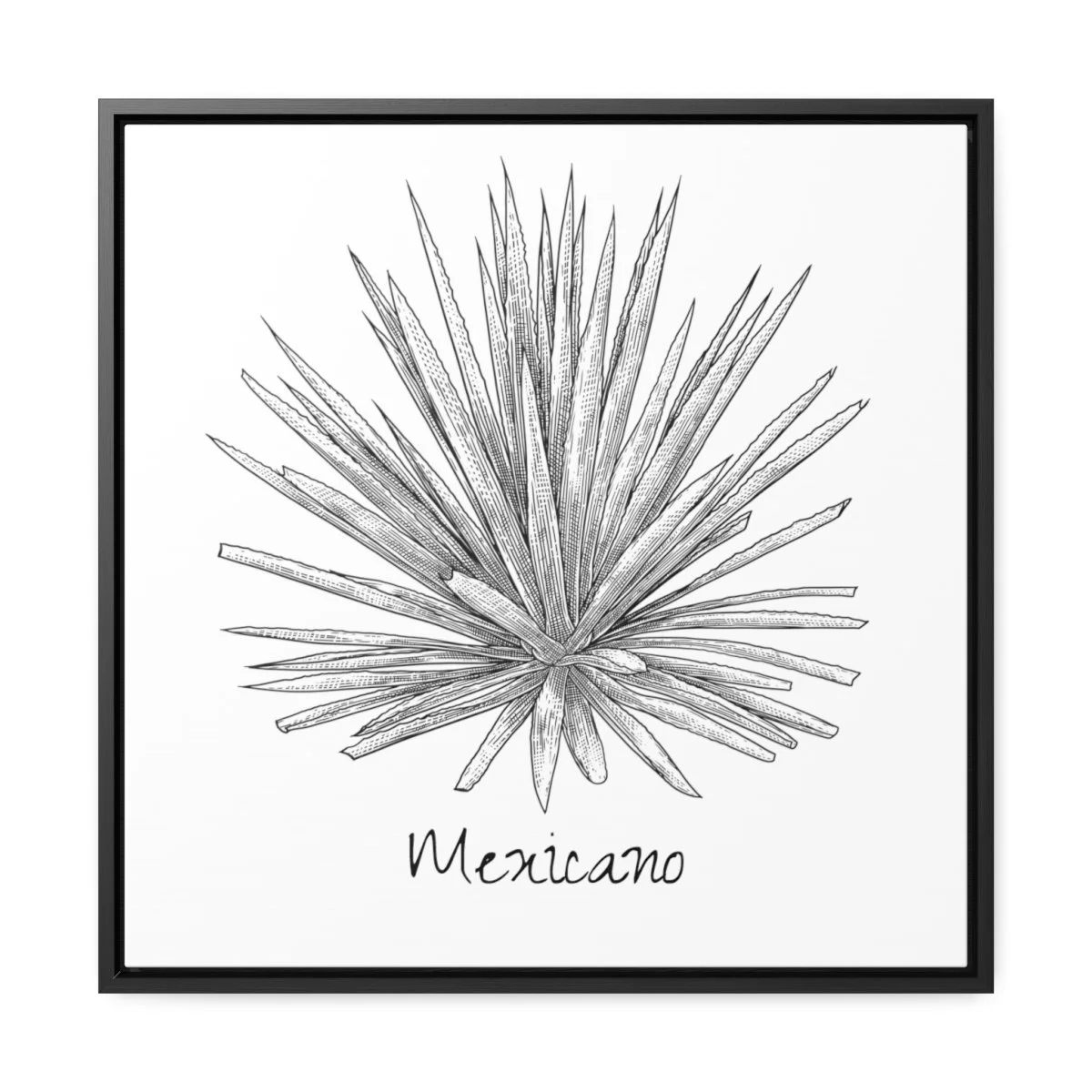 092c1627c2361173935c3f6598fc77ec